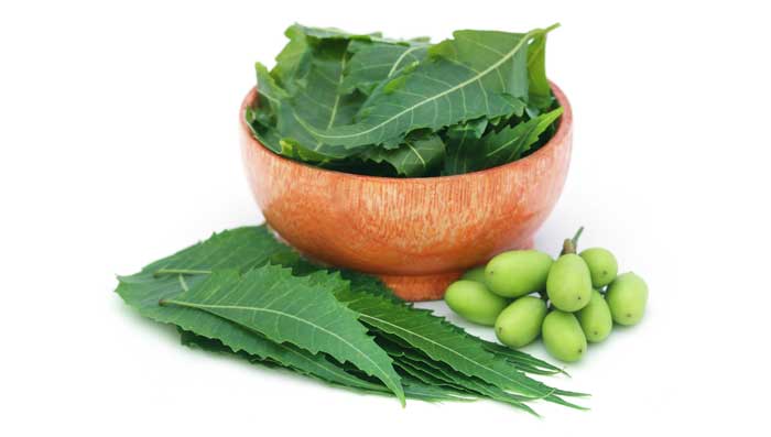 Neem Home Remedies For Hair Fall Due To Dandruff