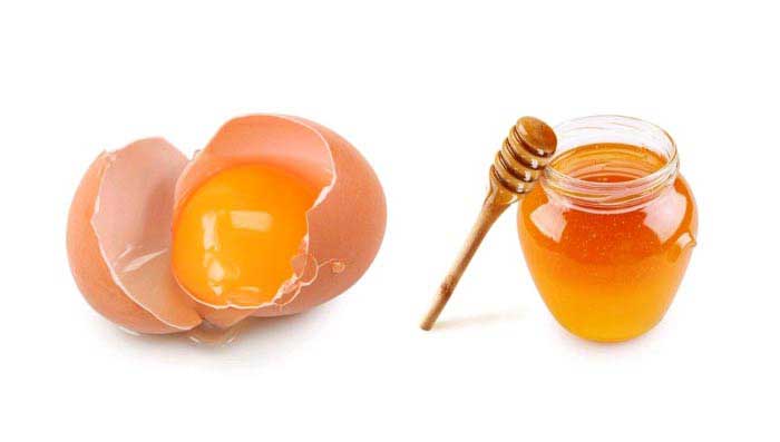 Egg & Honey Mask for Thick Hair