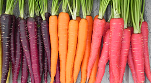 Carrots