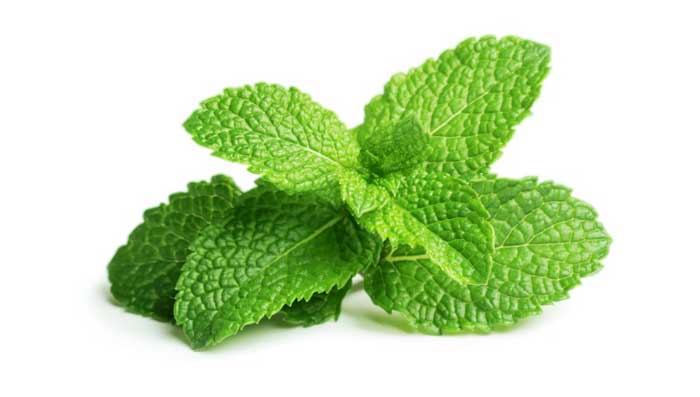 9 Peppermint Tea Benefits Healthy Skin Hair and More  Peppermint tea  benefits Mint tea benefits Herbalism