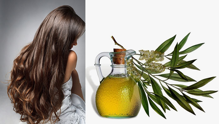 6 Benefits Of Tea Tree Oil For Your Hair