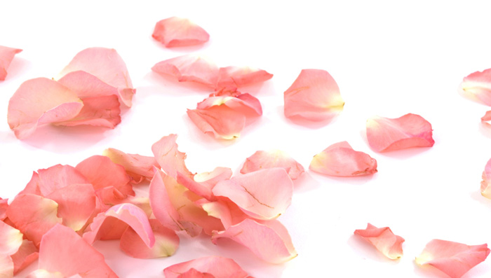 why rose water is must in every household