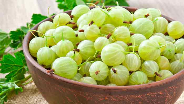 Amazing Benefits of Amla and How to Use It to Prevent Hair Fall
