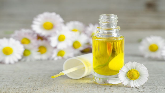 chamomile for skin and face
