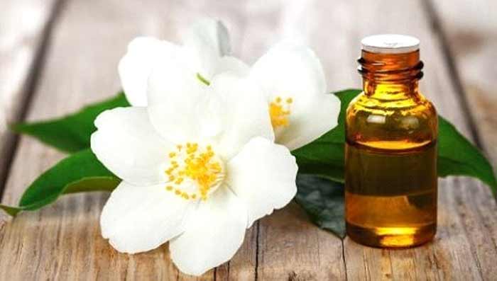 Jasmine Oil For Hair Growth - What Is It And How Does It Work