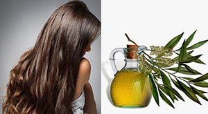 6 Benefits Of Tea Tree Oil For Your Hair