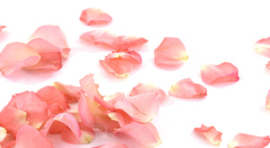 why rose water is must in every household