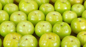 Amla Benefits for Hair