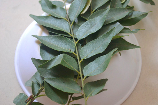 Curry Leaves Hair Pack
