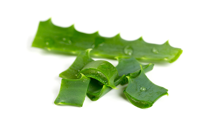 Aloe Vera for Itchy Scalp