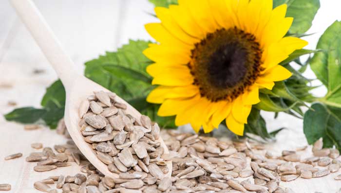 Sunflower Seeds for Fair & Glowing Skin