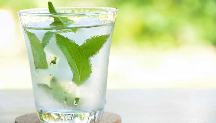 Mint Leaves For Skin Tonning