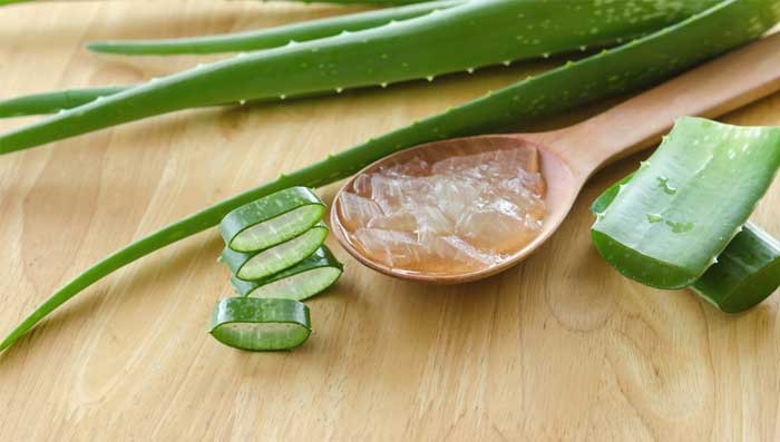 Aloe Vera, Coconut Oil And Vitamin E Oil Moisturiser