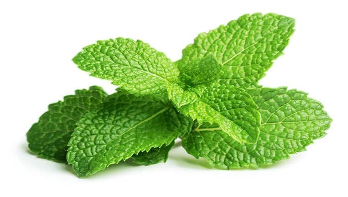 Crushed Mint Leaves