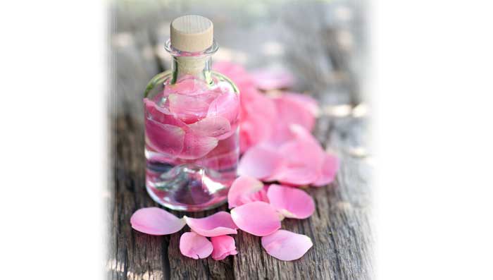 Rose Water Toner