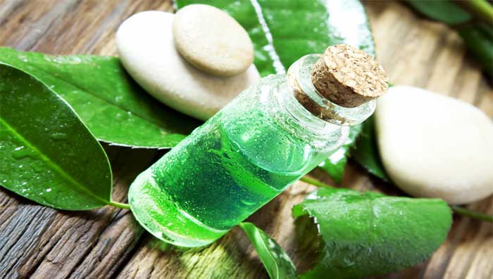 Tea Tree Oil Home Remedies For Hair Fall Due To Dandruff