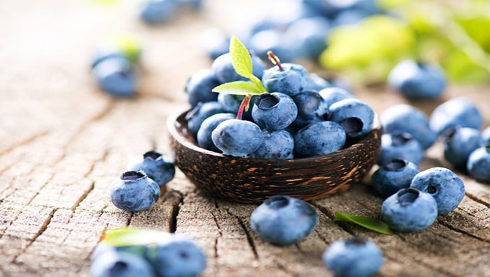 Homemade Blueberry & Yogurt Bleach