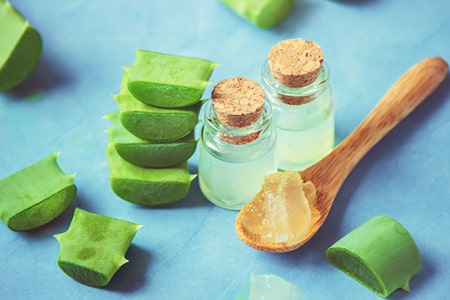 Aloe Vera and Curd for Hair