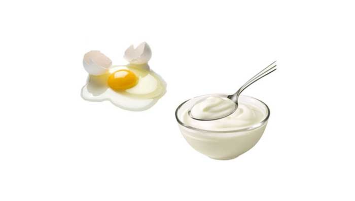 Egg & Yogurt Hair Mix