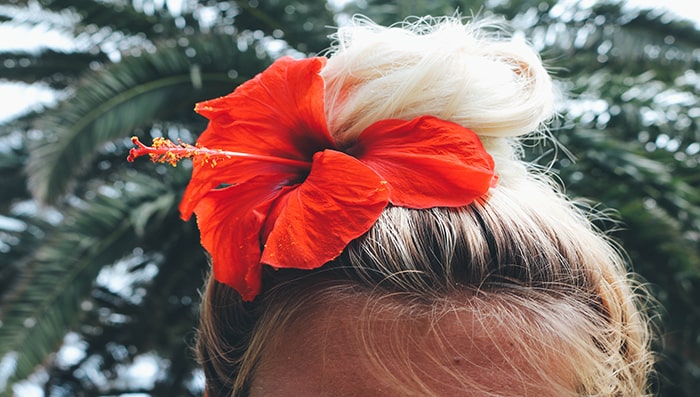 Top 5 Hibiscus Hair Mask - How to Use Hibiscus Powder/Leaves for Hair  @MyBeautyNaturally