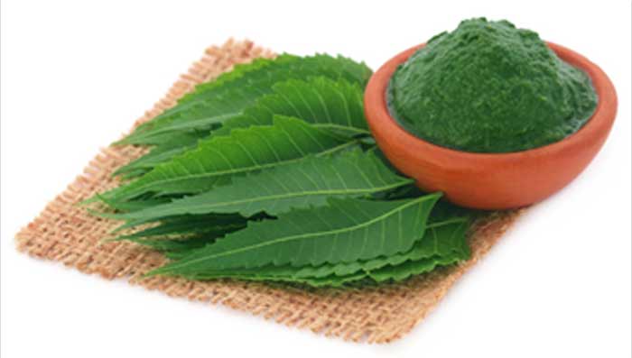 Neem for Pimple Marks