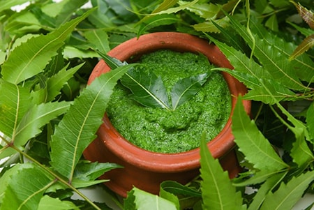 Neem Leaves to Prevent Hair Fall