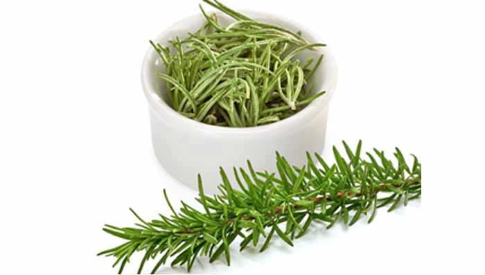 Rosemary & coconut oil for hair toning